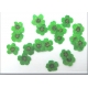 Flores Secas Verdes